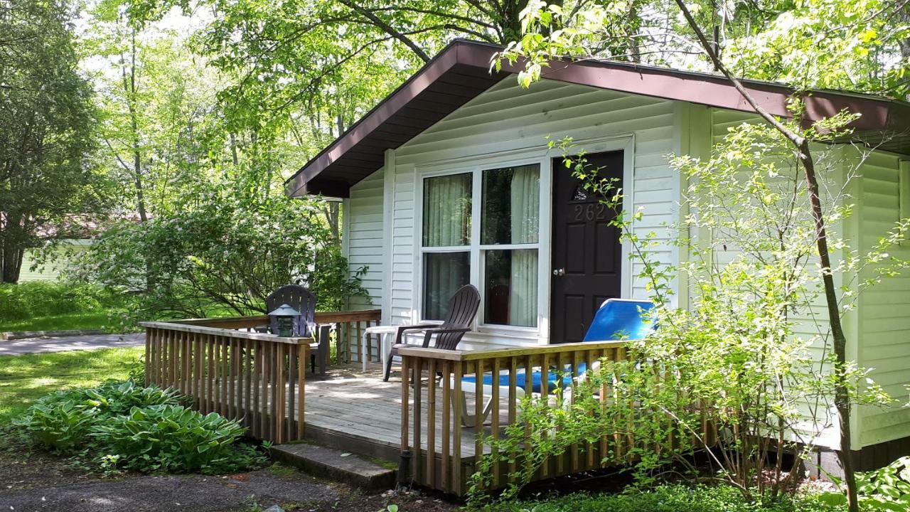 فندق Clevelands House Minett المظهر الخارجي الصورة