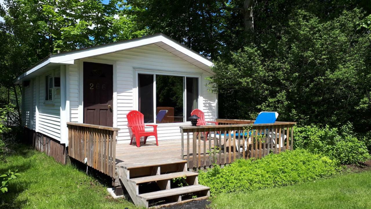 فندق Clevelands House Minett المظهر الخارجي الصورة