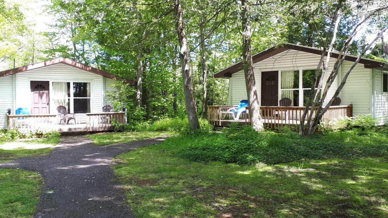 فندق Clevelands House Minett المظهر الخارجي الصورة